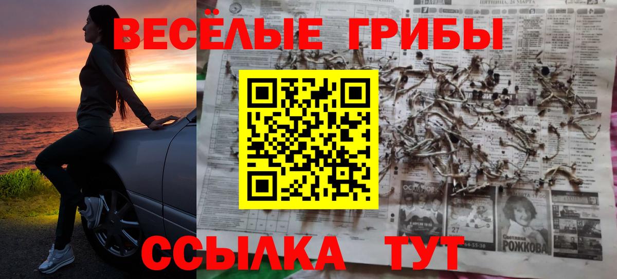 Армавир  Псилоцибиновые грибы Psilocybe  Псилоцибиновые грибы GOLDEN TEACHER  Вход с VPN 