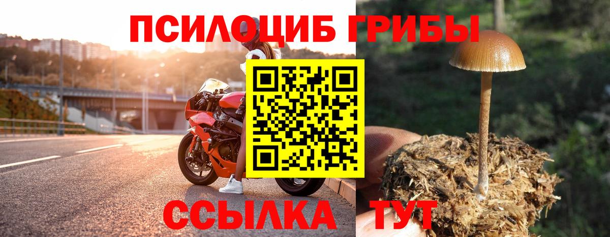 Галлюциногенные грибы прущие грибы Армавир